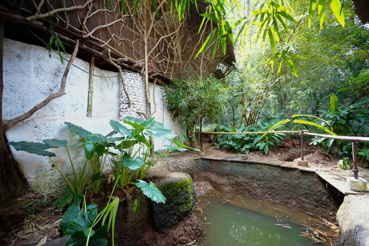 萨拉亚住宿加早餐旅馆 Sangolda 外观 照片